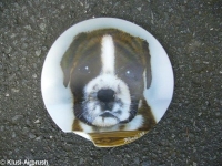 Boxeruba
