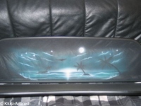 Windschott-gruen-Palmen